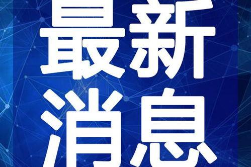 麻城鼓楼新闻爆料视频最新,最新视频揭露惊人真相！